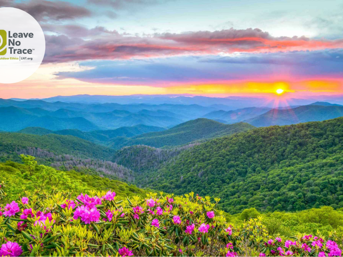 5 Hidden Gems in North&nbsp;Carolina