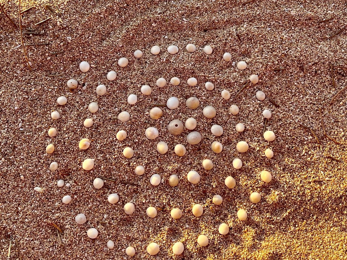 Mind, Body, and&nbsp;Spirit