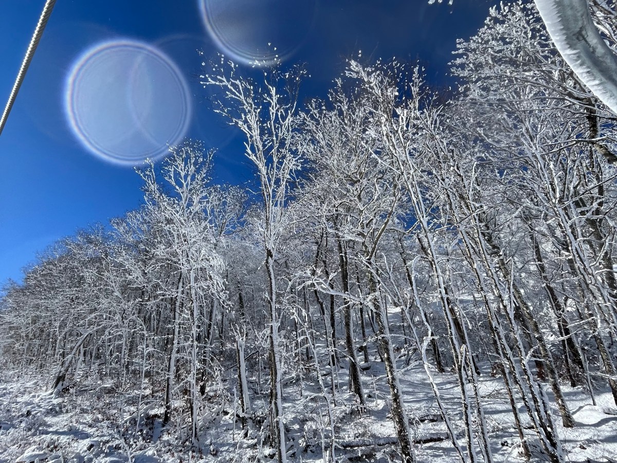 Seasonal Wellness Tips: Winter&nbsp;❅