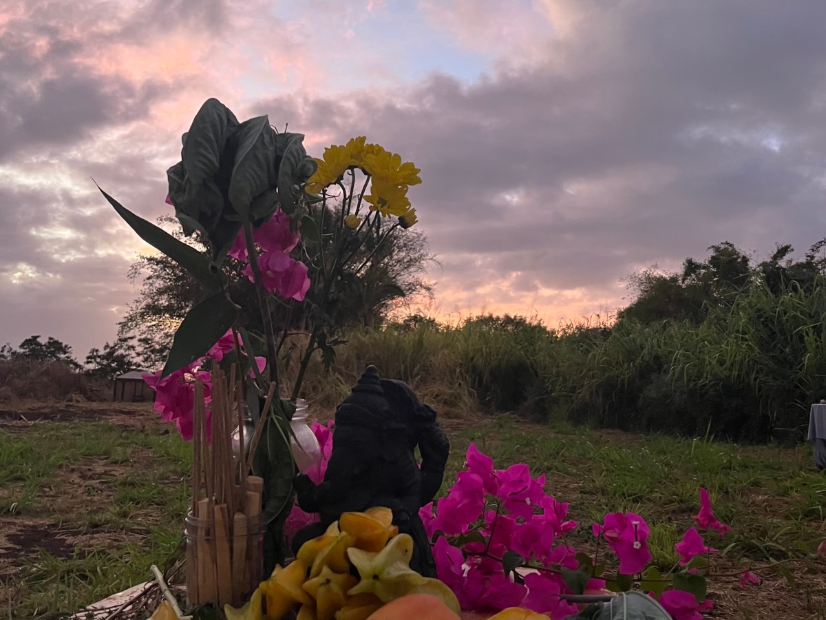 Seasonal Wellness Tips: Spring&nbsp;✿