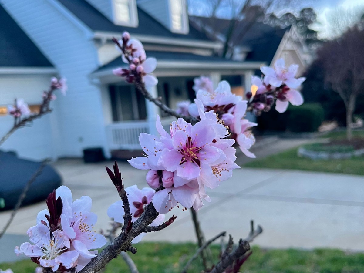 Why Seasonal Cleanses Are Best in Spring and Fall (And What Cleansing Really&nbsp;Means)