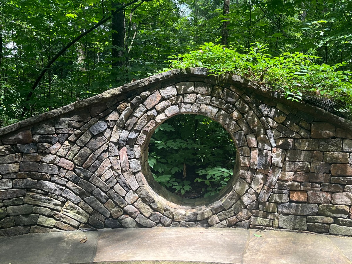 How Biophilia, Eco-Psychology, and Ayurveda Reconnect Us with&nbsp;Nature