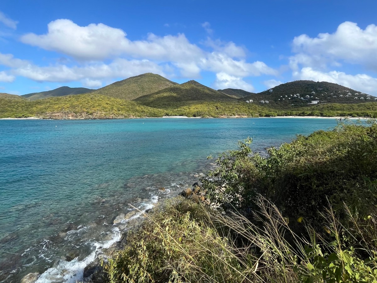 Top 5 Beaches in St. John, U.S. Virgin Islands National&nbsp;Park