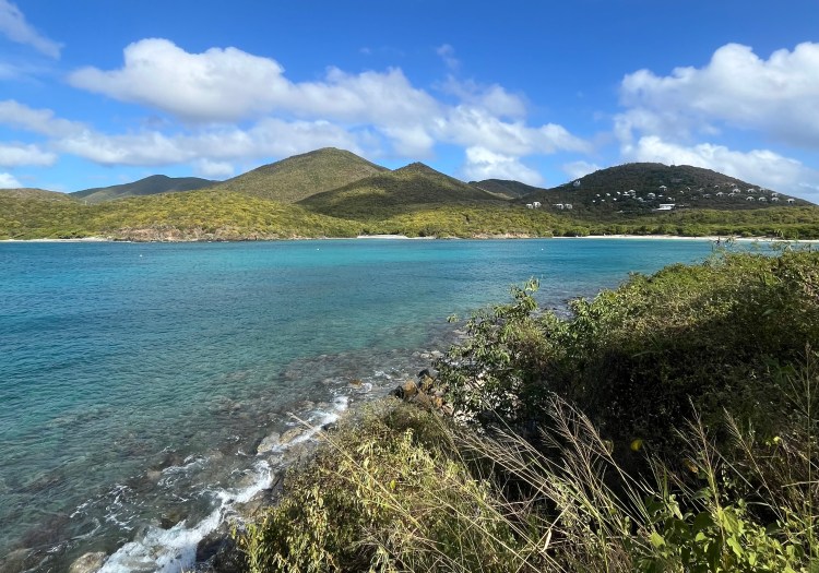 Top 5 Beaches in St. John, U.S. Virgin Islands National&nbsp;Park
